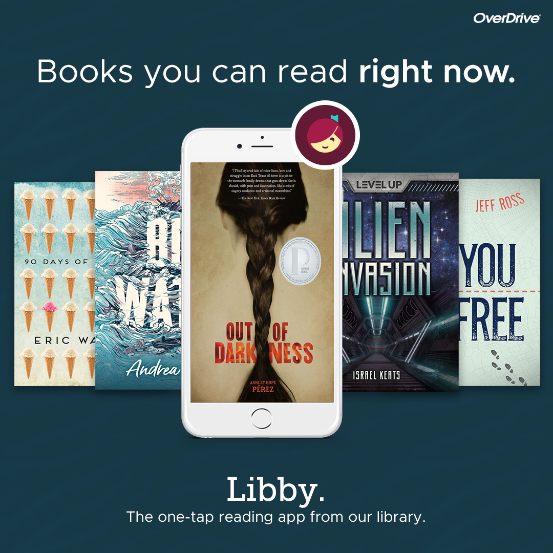 Libby YA Fiction collection